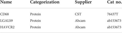 Integrating cell interaction with transcription factors to obtain a robust gene panel for prognostic prediction and therapies in cholangiocarcinoma